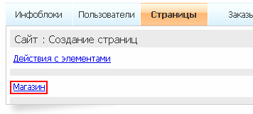 Вкладка Страницы изнутри - Магазин